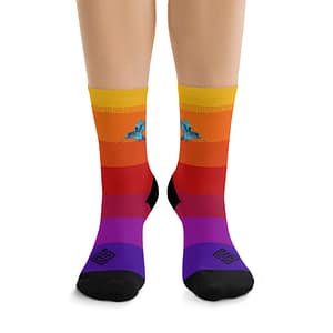 Socks - Rainbow Hummingbird Recycled Poly Socks